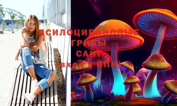 PSILOCYBIN Медногорск