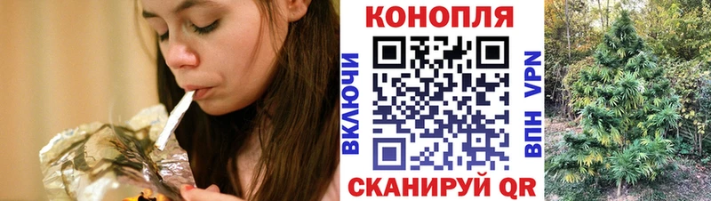 Бошки марихуана ГИДРОПОН  как найти наркотики  блэк спрут маркетплейс  Суворов 